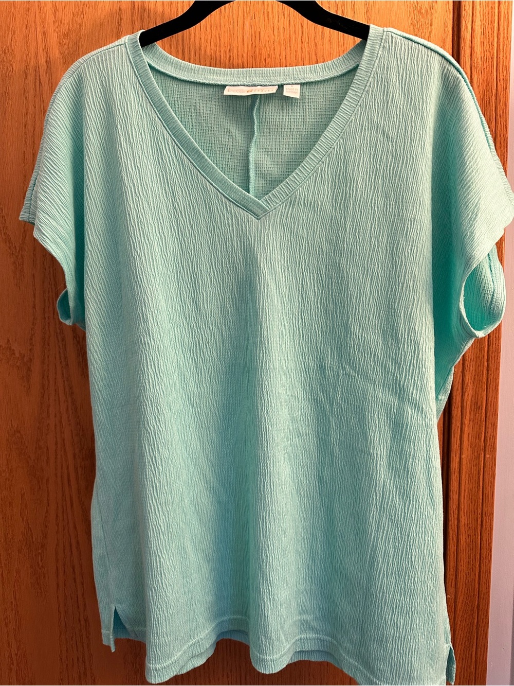 Belle by Kim Gravel Light Aqua V-Neck Short Sleeve Tee